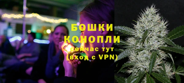 дурь Снежногорск