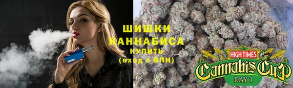 шишки Снежинск