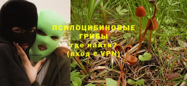 метадон Бородино